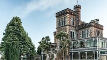 Private Dunedin & Otago Peninsula Day Tour Up to 4 