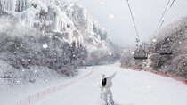 Eobi Ice Valley and Elysian Ski & Board with lesson From Seoul