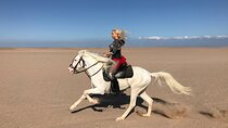 Horse Ride Trip , Bedouin Dinner And Show - Sharm El Sheikh