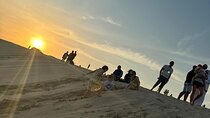 4 Hour Desert Safari Tour in Qatar