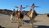 Camel Riding 1-Hour In the Wonderful Desert - Hurghada