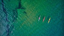 Sick Day Midweek Kayak Tour on Tomales Bay