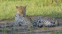 7 Days Uganda Wildlife Safari and Gorilla Trekking