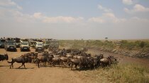 Masai Mara 3Days Safari Adventure