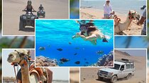 ATV Quad Safari and Snorkeling Excursion, Camel Ride With Transfer - Marsa Alam