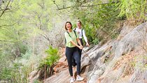 Marbella Guided Hiking and Foraging Adventure