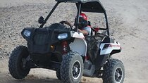 Thrilling Buggy Safari & Camel Ride with Transfers – Marsa Alam