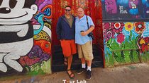 Valparaíso & Wine Tasting – Art, Culture & 5 Premium Wines