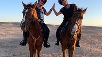 Explore the Desert 2 Hour Horse Riding with Transfer - Marsa Alam