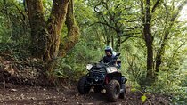 1h Quad Tour • Arcos de Valdevez • Peneda Gerês