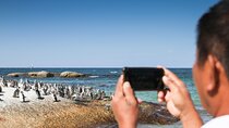 Full Day Cape Peninsula and Apartheid History Experience