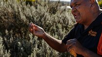 Kangaroo Island Indigenous Tour (1 Day)