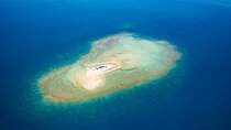 Oolala Cruises on Savala Island