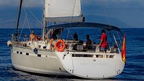Lady Sunshine Luxury Boat Private Tour, 2, 4 or 8 hours