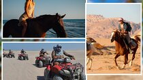 1 Hour Horse Riding & ATV Quad Safari Adventure - Sharm El Sheikh