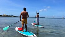 Miami Biscayne Bay Paddle