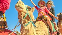 Sunset Camel Ride with BBQ Dinner 