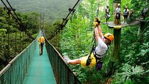  Rainforest Skywalk & Zipline Adventure Tour