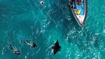 Nusa Penida Private Snorkeling and Land Tour Start from Bali