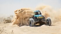 Professional Buggy Self Drive with Desert Safari and Camel Ride
