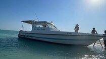 Safari Island Adventure with speed Boat