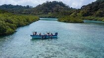 Private Blue Veins and White Beach Tour