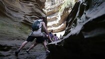 Day Tour To Lake Naivasha, Crescent Island And Hell Gate Park