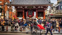 Tokyo Private Tour with English Pro Guide By Luxury Vehicle