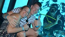 Semi Submarine & Parasailing Sea Trip with Turkish bath -Hurghada