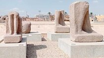 Full Day Tour Tanis and Bubastis