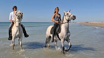 Horse Riding adventure