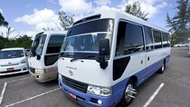 Montego Bay City highlight And Souvenir Shopping Group Tour