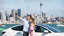 GoGuided Auckland City Tour (Car/Van)