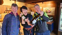 Takayama Half Day Tour (Private Guide)