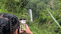 Authentic Jamaica: A Local's Guide Tour