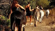 Walking with Our Rescue Donkeys