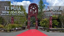 TE PUIA Geothermal, Polynesian Spa & Blue Springs Day Tour Ex AKL