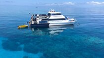 Cairns Value Outer Barrier Reef trip with Scuba Diving included