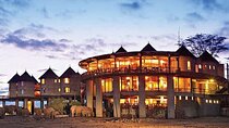 3 Days Private Safari To Saltlick Lodge From Nairobi