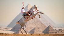 Grand Egyptian Museum Private Tour with Giza Pyramids Photoshoot 