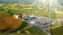 The Wineries of Romania Discover the Story in Every Drop