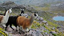 The Hidden Routes of the Incas 