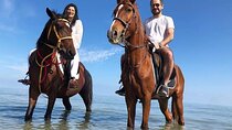 Horse ride 2 Hours With Bedouin Dinner & show - Sharm El Sheikh