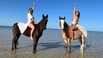 Horse Riding Tour 2 Hours Sea & Desert With Transfer - Hurghada
