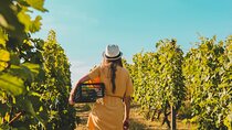 Wine Tasting & Vineyards Escape near Tirana