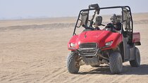 Safari with Buggy Ride & Echo Valley Exploration -Sharm El Sheikh