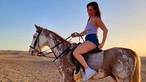 1 Hour Horse Riding Trip in desert with Transfer -Sharm El Sheikh