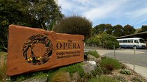 Wildlife and Penguin Tour