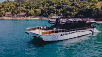  Luxury Mega Yacht 100' Limousine of the Sea 2: Puerto Vallarta