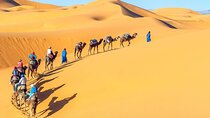7 Days Egypt Tour to Cairo, Luxor, Abu Simbel and Sahara Tour